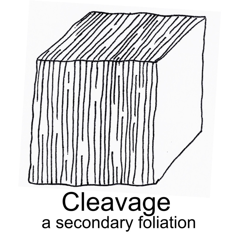 foliation_2.png