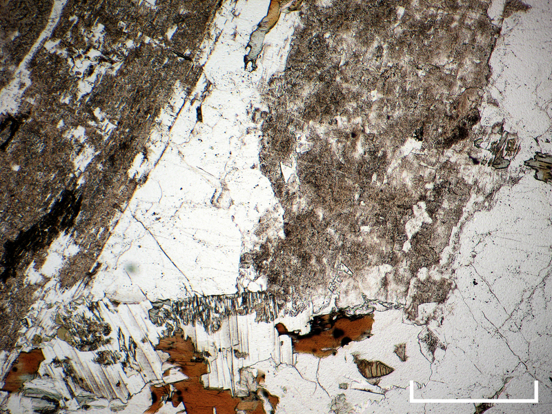 L100_thin_section.jpg