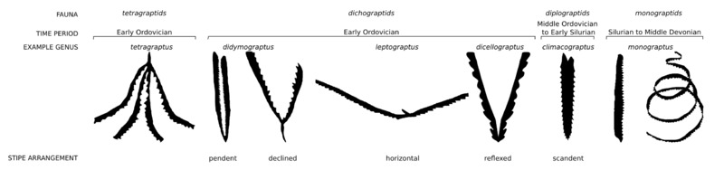 graptolite_range.png